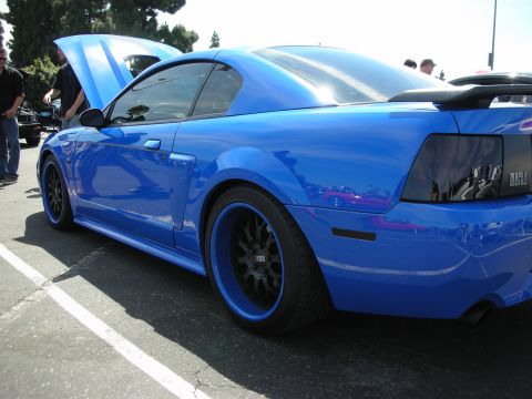 1992 Ford Crown Victoria - Blue 2000 Ford Mustang Mach 1 at a car show, hood is open, showing custom wheels.