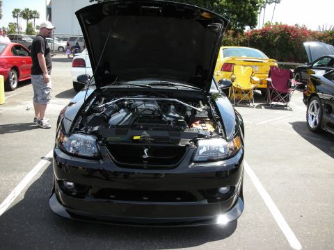 1992 Ford Crown Victoria - A black 2001 Ford Mustang Cobra is displayed with its hood open, revealing the engine bay.