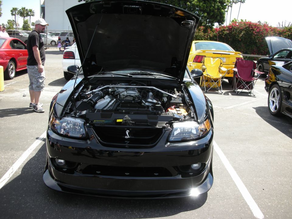 Black 2001 Ford Mustang Cobra front view, hood open, showing engine