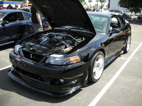 1992 Ford Crown Victoria - A black 2001 Ford Mustang Cobra is displayed with its hood open at an outdoor car show.