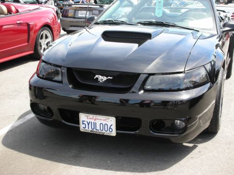 1992 Ford Crown Victoria - A black Ford Mustang convertible is parked at a car show, with a red convertible and another Mustang visible in the background.