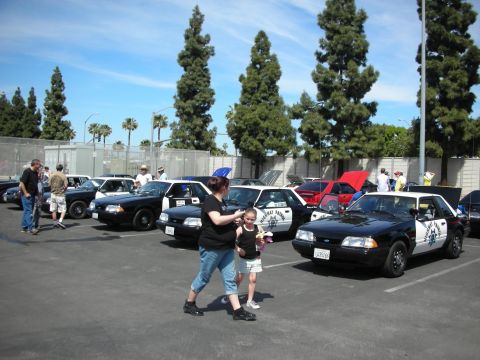 1992 Ford Crown Victoria - A gathering of police-style vehicles, including several Ford Mustangs, are parked in an outdoor lot on a sunny day.