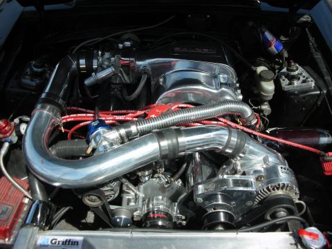 1992 Ford Crown Victoria - Engine bay features a polished supercharger and intake system, with red Taylor spark plug wires visible.