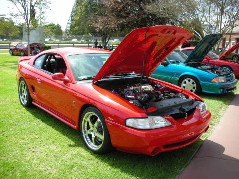 1992 Ford Crown Victoria - Red 1996 Ford Mustang coupe on display with hood open, other cars visible in background.