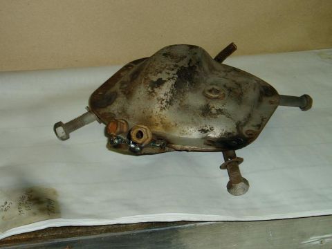 2000 Ford E350 - A taxidermied bat is displayed on a flat surface, its wings and legs extended.
