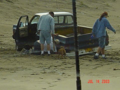 1989 Ford Bronco - Cassius and I checking to see how bad it is