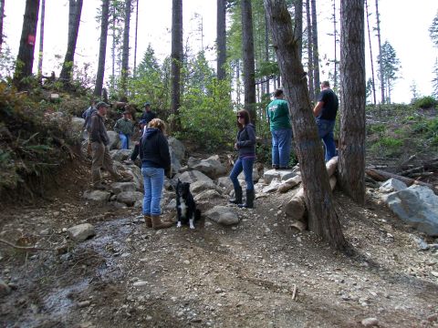 1991 Ford Bronco - People gathered on a rough, rocky path in a forest with trees and scattered rocks.