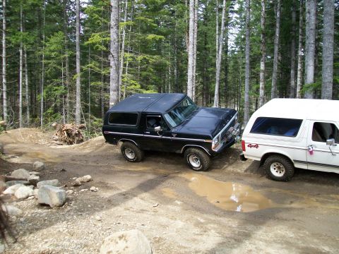 1991 Ford Bronco - Two Ford Broncos navigate a muddy trail surrounded by tall trees.