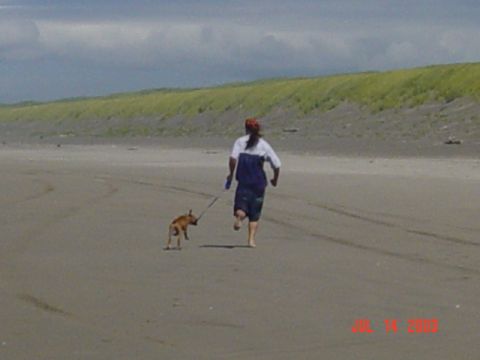 1989 Ford Bronco - Me and Cassius went for a run