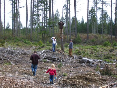 1991 Ford Bronco - A group of people explore a logged area of a forest, with one person standing on a tree stump.
