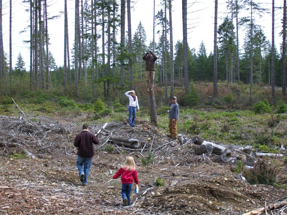 Four people and a child are in a forest clearing with cut trees and debris