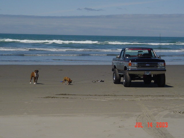 Lifted blue Ford pickup truck parked on a beach with two boxer dogs, July 2003