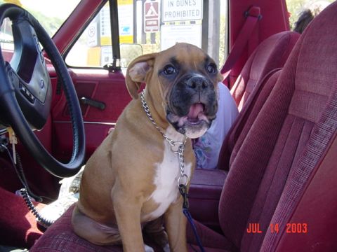 1989 Ford Bronco - Mr. Cash telling me its time to go home!!