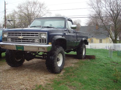 1978 Chevrolet C/K Pickup “The blue truck...”