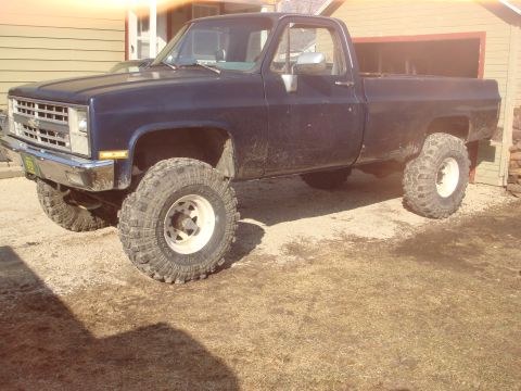 1978 Chevrolet C/K Pickup “The blue truck...”