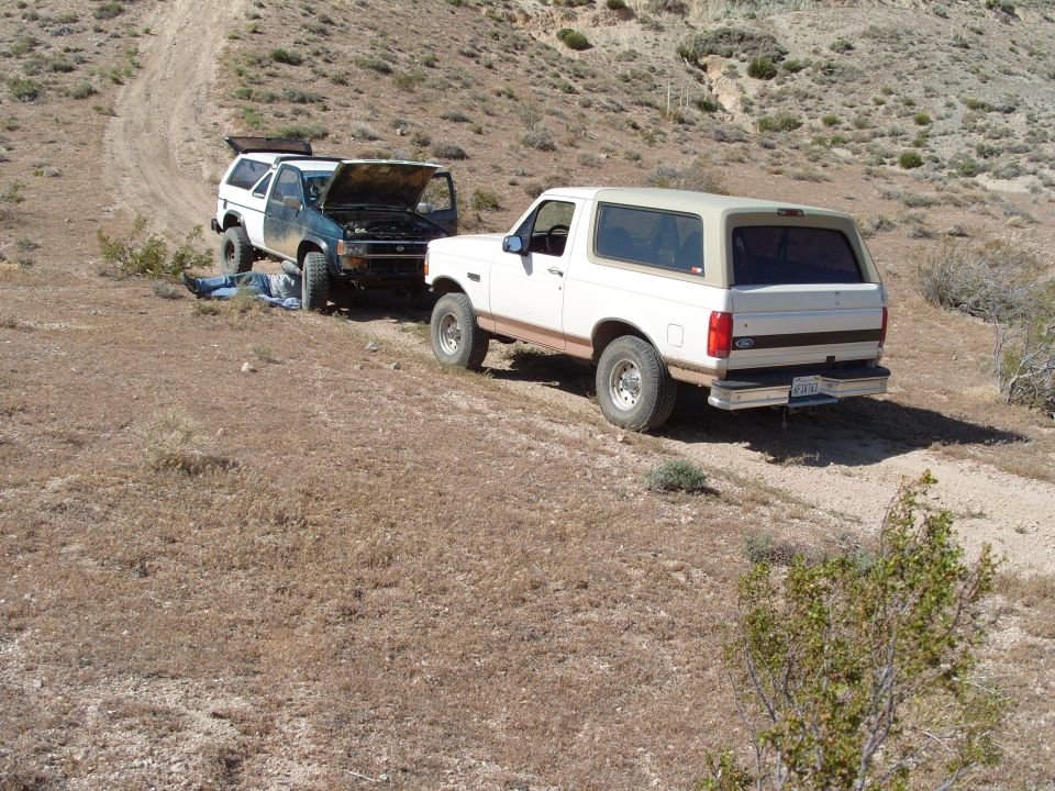 1995 Ford Bronco rear view, white with tan top, parked on dirt road next to another SUV