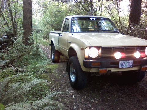1980 Toyota Hilux photo