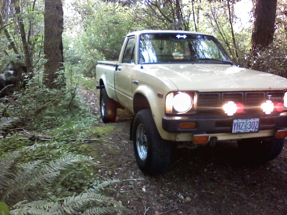 Cream Toyota 4x4 pickup with round headlights on a fern-lined forest trail