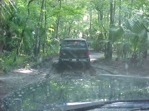 1995 Ford Bronco - On the Trail