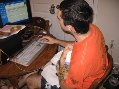 2001 Ford F-150 - A person is sitting at a wooden table, holding a baby leopard and a bottle of milk. A computer monitor, keyboard, and other items are on th…