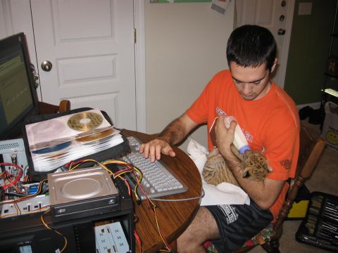 2001 Ford F-150 - A young man in an orange t-shirt is sitting at a desk and feeding a small spotted kitten milk from a bottle. The desk is covered with compu…