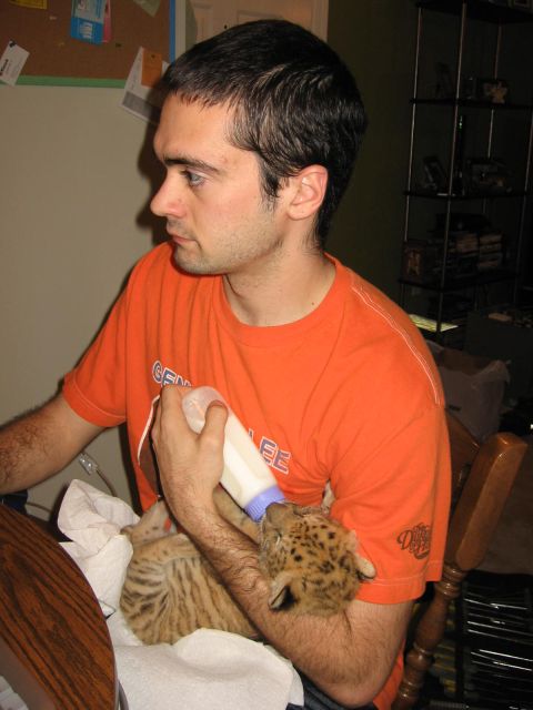 2001 Ford F-150 - A man in an orange t-shirt is feeding a baby big cat from a bottle.