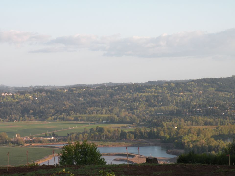 Landscape view of rolling hills, trees, a body of water, and fields under a pale sky.