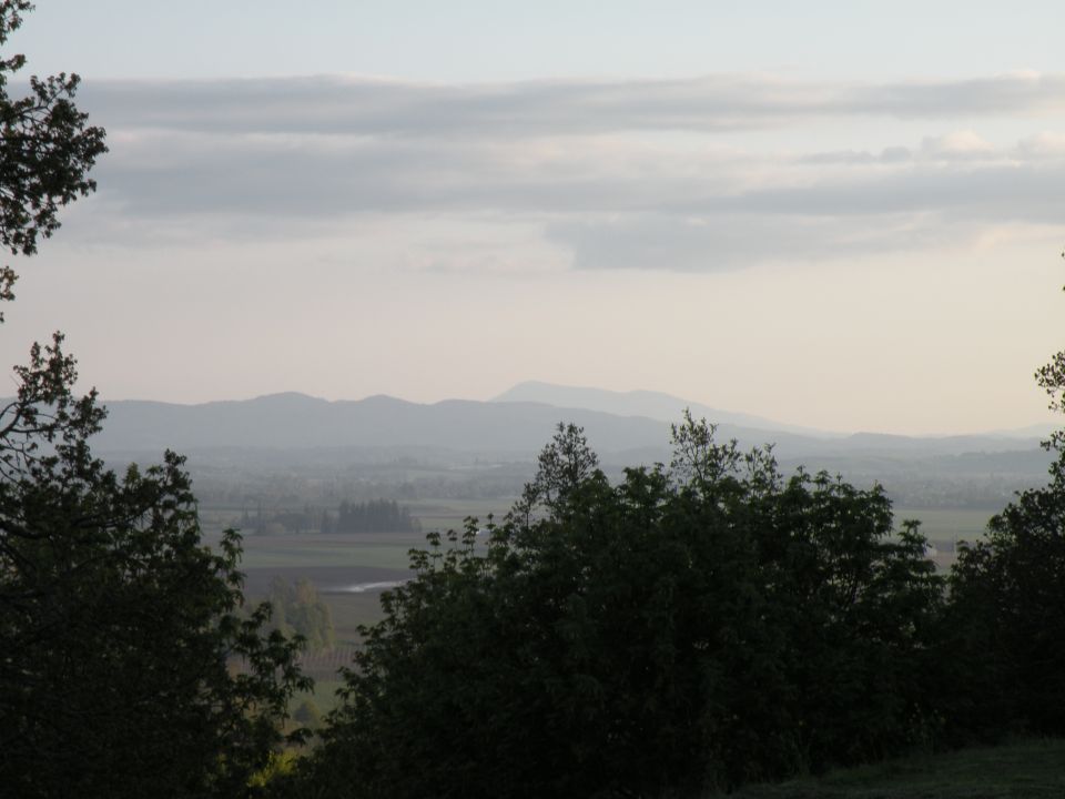 Hazy landscape with rolling hills and trees.