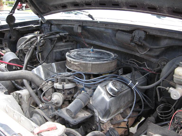 engine bay with air cleaner, distributor, and valve covers visible