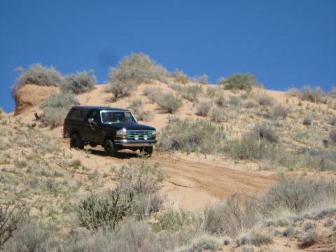 1993 Ford Bronco - This 1993 Ford Bronco navigates a sandy trail under a bright blue sky.