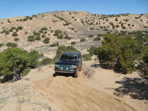 1993 Ford Bronco photo