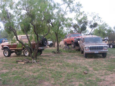 1979 Ford Bronco - Several Ford Bronco SUVs are parked outdoors in a grassy area with trees, with one loaded onto a trailer.