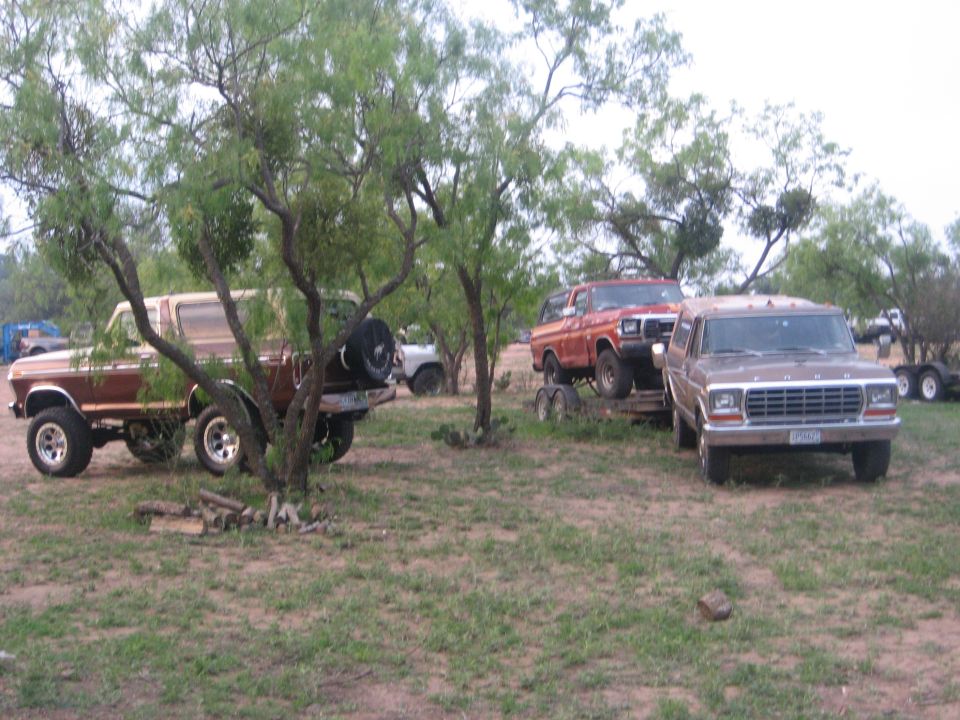 Three Ford Bronco SUVs parked in a grassy area with trees. One is on a trailer