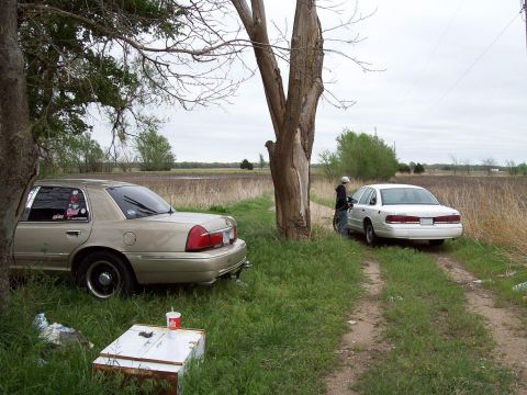 2000 Mercury Grand Marquis - Two sedans, a gold Mercury Grand Marquis and a white one, are parked in a grassy field next to a dirt road.