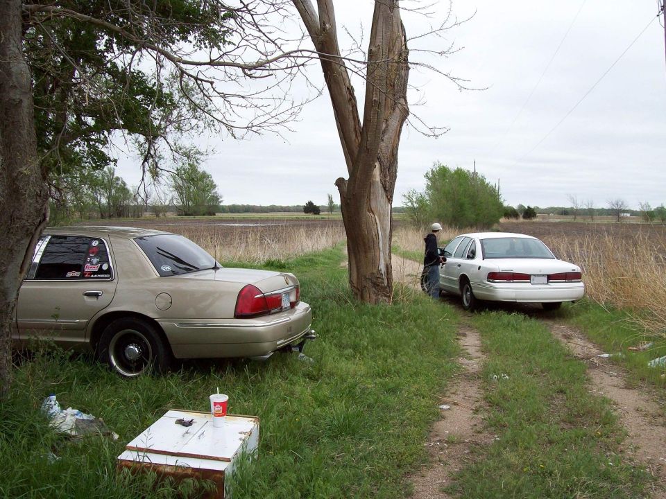 Gold sedan parked under a tree, white sedan on dirt road