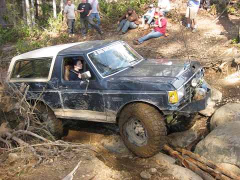 1979 Ford Bronco photo