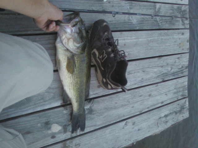 Person holding a large bass next to a shoe on a wooden dock