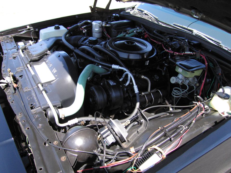 Engine bay with black air cleaner and green hose