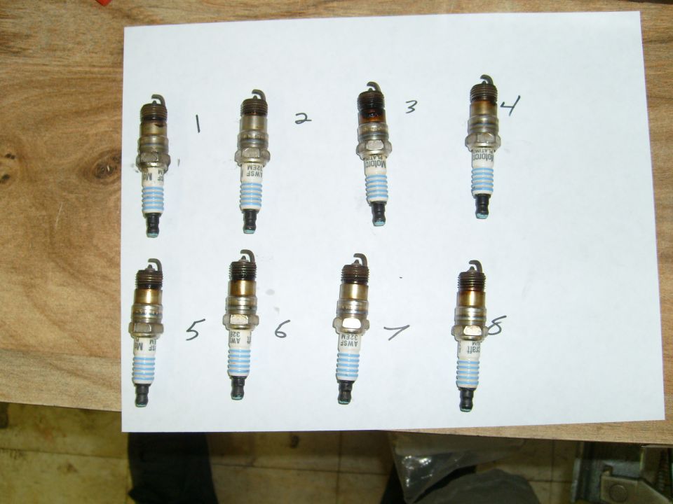 Eight spark plugs laid out on paper, numbered 1 through 8