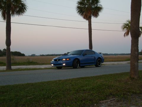 1992 Ford Bronco - Blue Ford Mustang parked on a road with palm trees in the background at dusk.