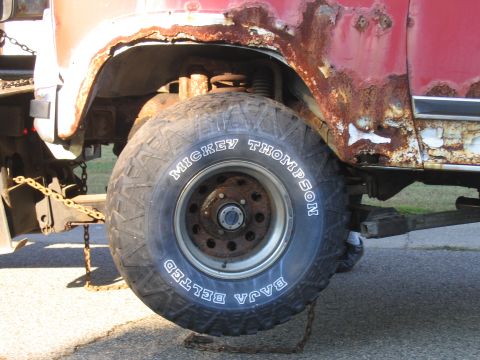 1981 Ford Bronco photo