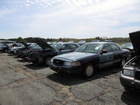 2001 Ford Crown Victoria - Several Ford Crown Victorias are lined up in an outdoor lot, some with hoods open.