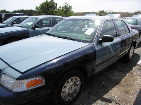 2001 Ford Crown Victoria - A row of Ford Crown Victoria police cars are parked outdoors, one in the foreground shows a dark blue fender and hood.
