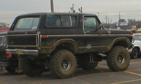 1983 Ford Bronco - This one's got some set of balls, huh?