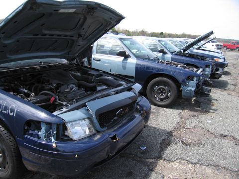 2001 Ford Crown Victoria - Multiple police vehicles, identified as 2001 Ford Crown Victorias, are lined up with their hoods open, showing their engines.