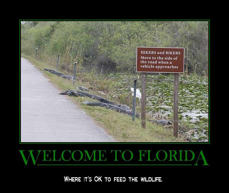 Welcome to Florida

caption by Steve83