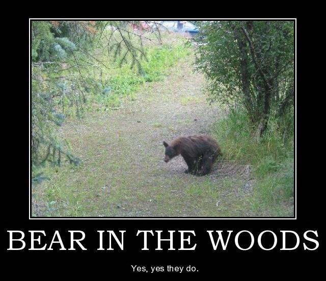 Bear in the Woods