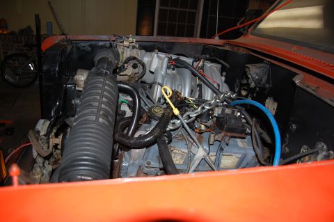 1994 Ford Bronco - Close-up view of an engine bay, showing the V8 engine and intake manifold.