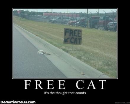 1990 Ford Bronco - A sign by the road advertises a free cat, but a dead animal lies on the curb nearby.