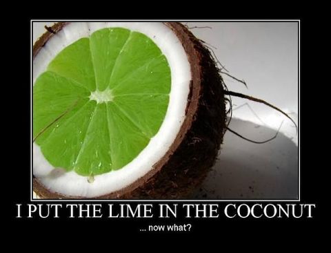1990 Ford Bronco - A humorous meme a coconut with a lime slice inside and text that famous song lyric.